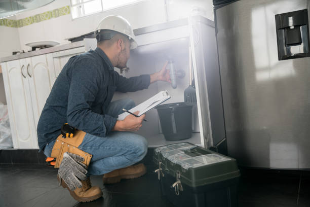 Best Affordable Plumbing Services  in Remsen, IA