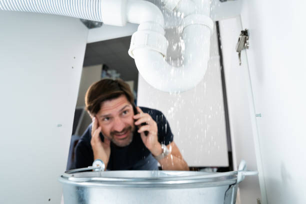 Best Emergency Plumbing Repair  in Remsen, IA