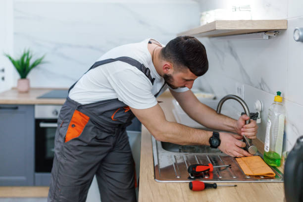 Best Leak Detection Services  in Remsen, IA