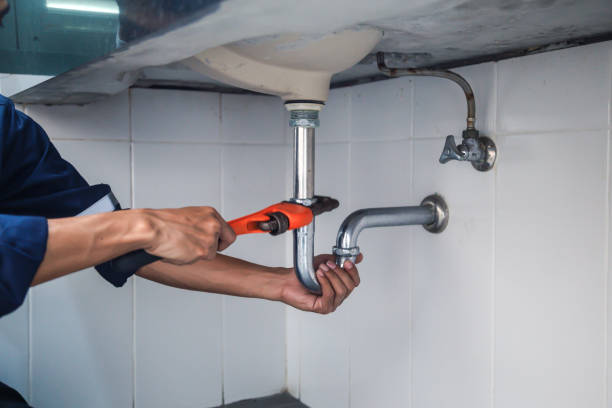 Best Commercial Plumbing Services  in Remsen, IA