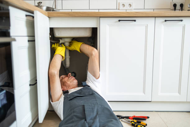 Best Plumbing Services Near Me  in Remsen, IA