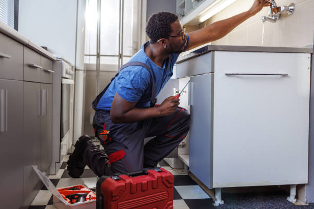 Best Same-Day Plumbing Service  in Remsen, IA
