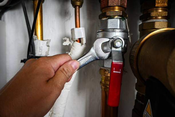 Best Drain Cleaning Services  in Remsen, IA